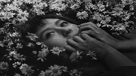 七人の侍
