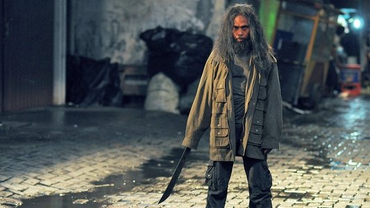 The Raid 2: Berandal