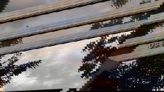 Bad Frequencies