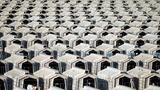 L'usine des animaux