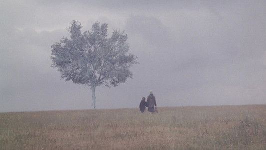 Τοπίο στην ομίχλη