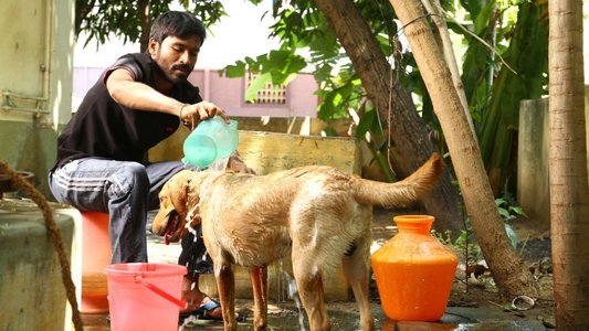 வேலையில்லா பட்டதாரி