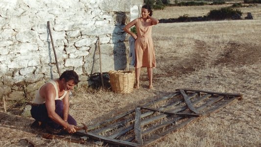 A Sombra dos Abutres