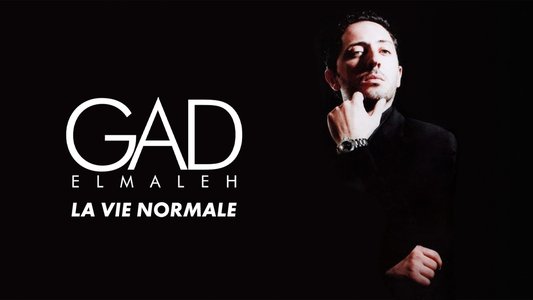 Gad Elmaleh - La Vie normale