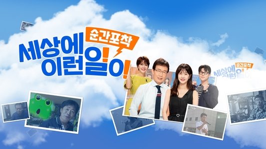 순간포착 세상에 이런 일이