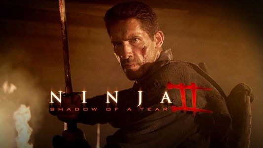 Ninja: Shadow of a Tear