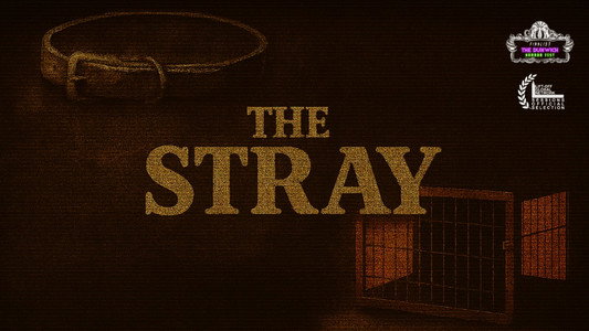 The Stray