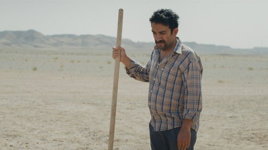 یک تصادف ساده