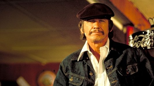 Mr. Majestyk