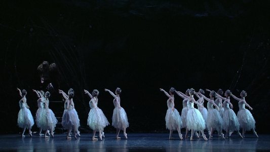 The ROH Live: Swan Lake