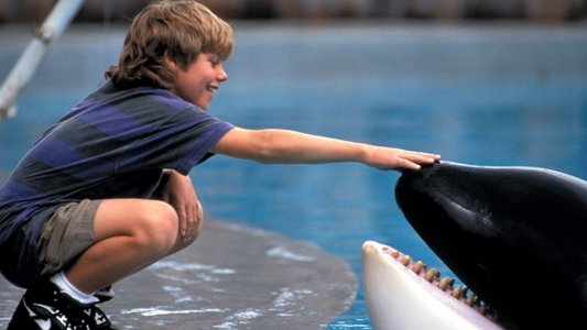 Free Willy