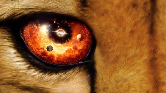 Our Universe