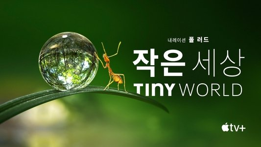 Tiny World