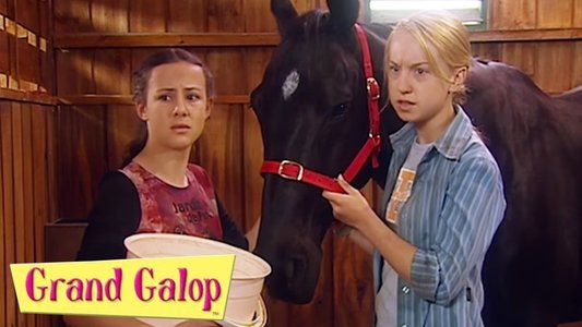 The Saddle Club