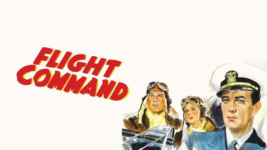 Flight Command