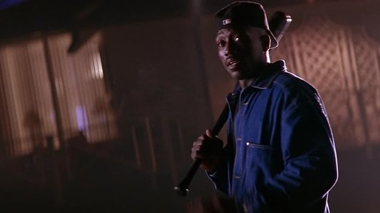 The Fan