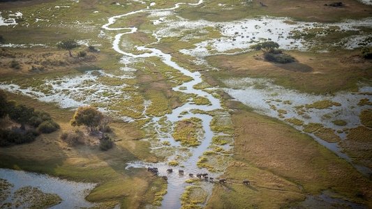 Into the Okavango