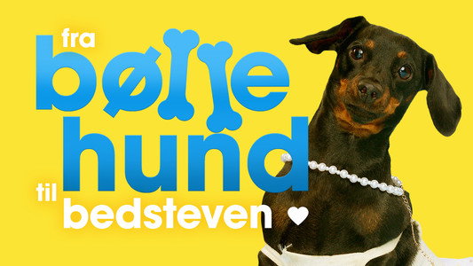 Fra bølle til bestevenn