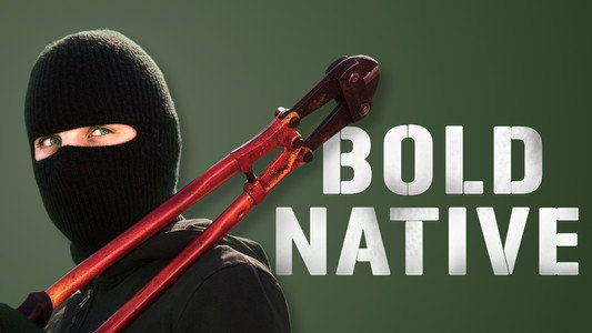 Bold Native
