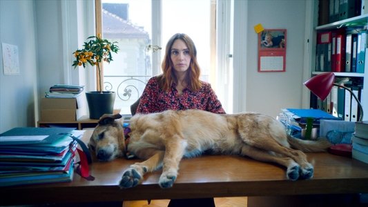 Le Procès du Chien