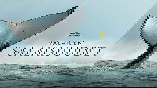 Secrets of the Whales