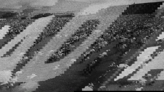 Um Documentário Brasileiro