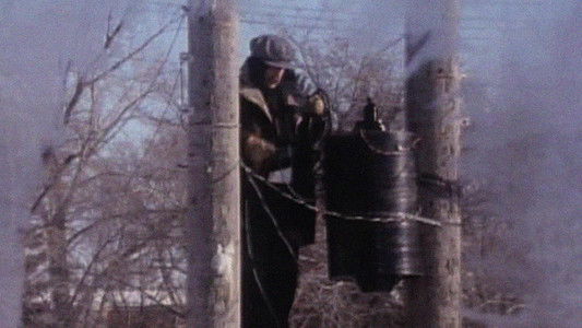 The Great Electrical Revolution