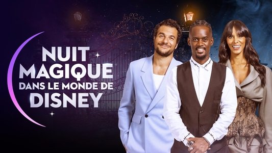 Nuit magique dans le monde de Disney