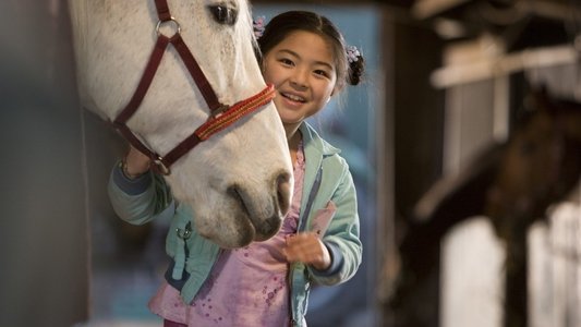 Waar is het paard van Sinterklaas?