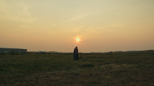 The Summer Field