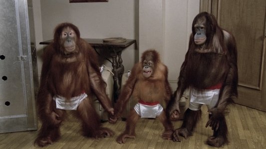 Going Ape!