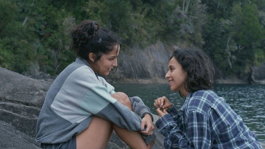 Pájaro mono