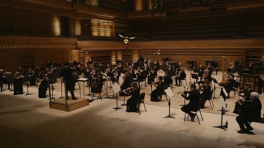 Ça grouille à l'orchestre : Génial!