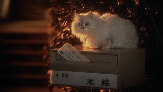 ハウス