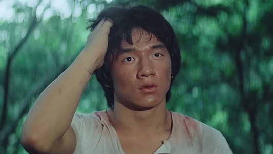 少林木人巷