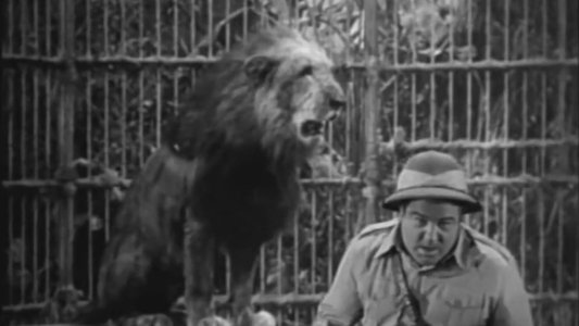 Africa Screams