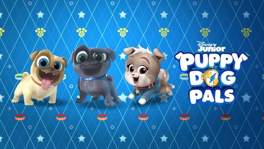 Puppy Dog Pals