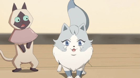 猫先动的手！