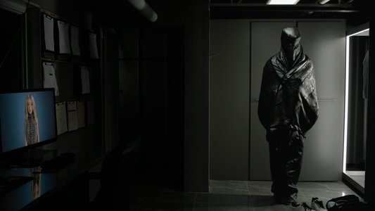 The Shrouds