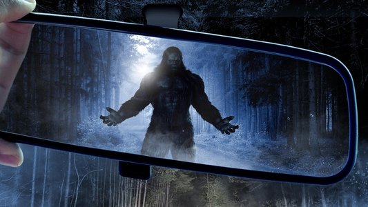 The Sighting