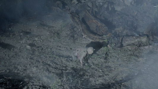 Winnie-the-Pooh: Blood and Honey 2