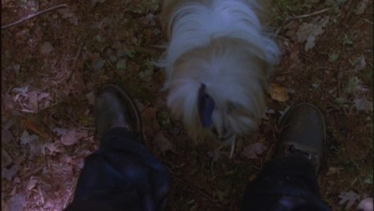 Friday the 13th Part 2