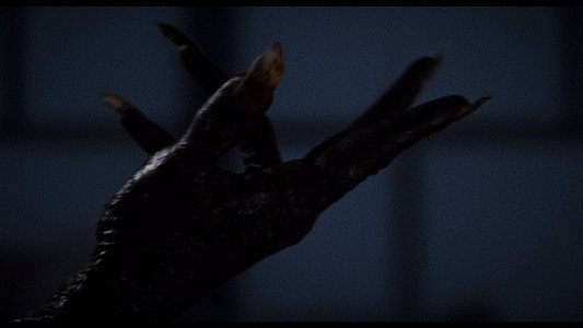 Dracula: The Night Around Us
