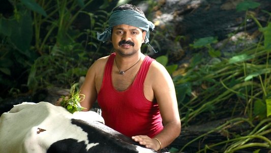 എൽസമ്മ എന്ന ആൺകുട്ടി