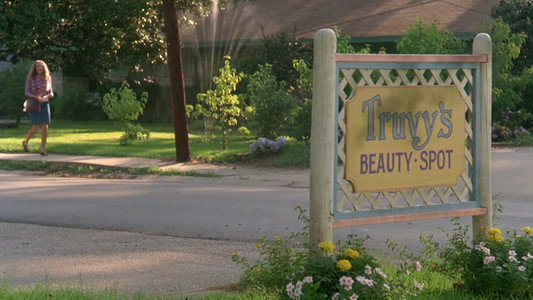 Steel Magnolias