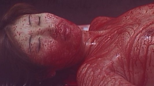 超いんらん　姉妹どんぶり