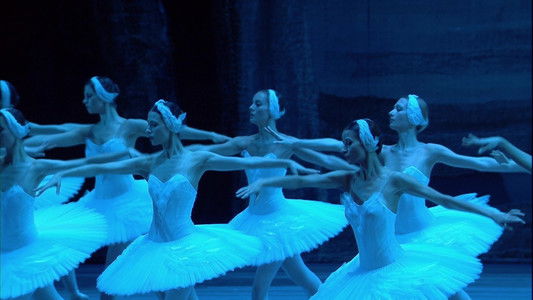 Tchaikovsky - Swan Lake (The Bolshoi Ballet Collection)