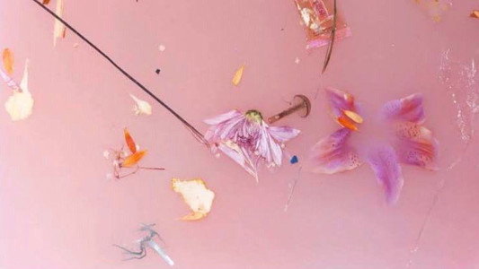 Harry Styles: Behind the Album - The Performances