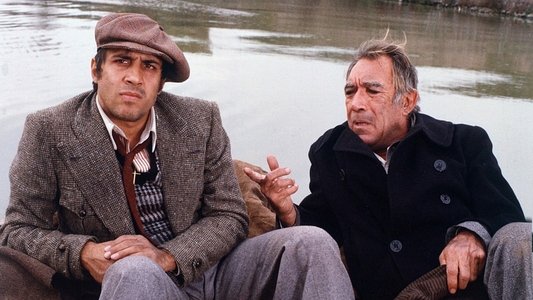 Bluff - Storia di truffe e di imbroglioni