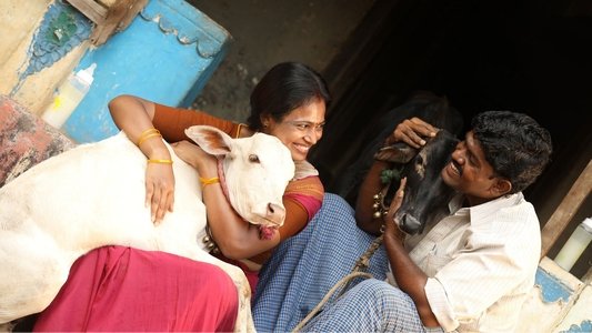 ராமே ஆண்டாலும் ராவணன் ஆண்டாலும்